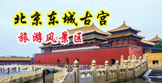 玩黑妞操黑逼爽中国北京-东城古宫旅游风景区