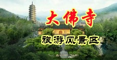 男生暴草女生的下载网站有哪些中国浙江-新昌大佛寺旅游风景区